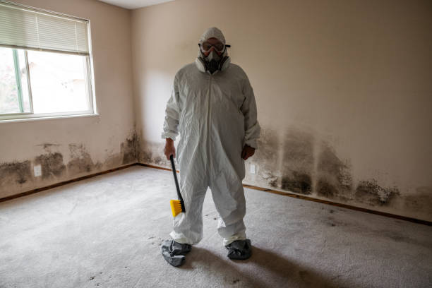 Best Residential Mold Removal  in Louise, TX